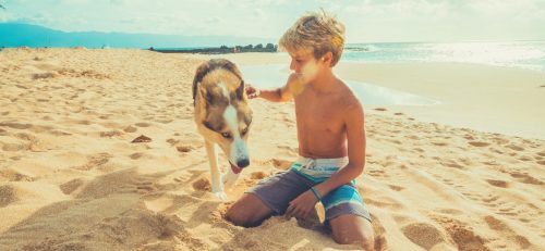 Child and dog at the beach
